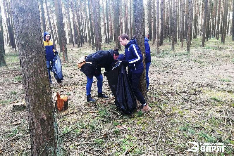 В Пинске волонтеры вышли на уборку леса - фото