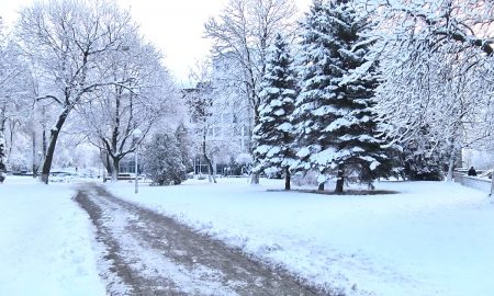 Снег в Пинске - фото