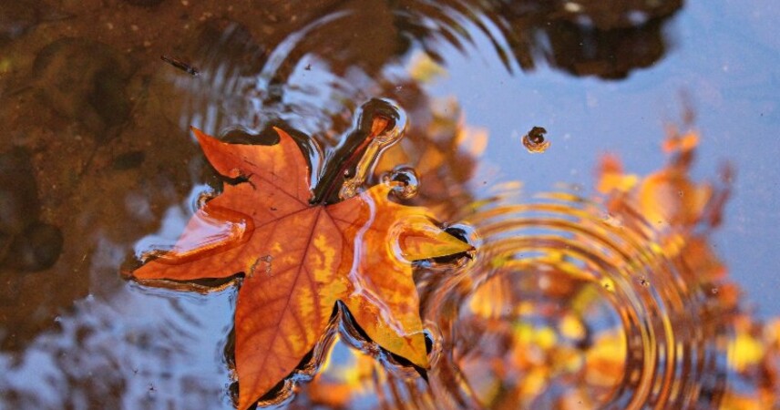 Синоптики рассказали когда в Беларуси закончится лето