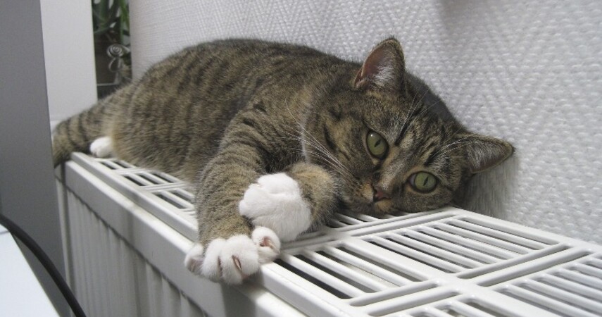 В Пинске 7 октября начат отопительный сезон