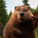 За охоту на бобра на Огинском канале задержан житель Телехан: ущерб природе – 9 тыс. рублей