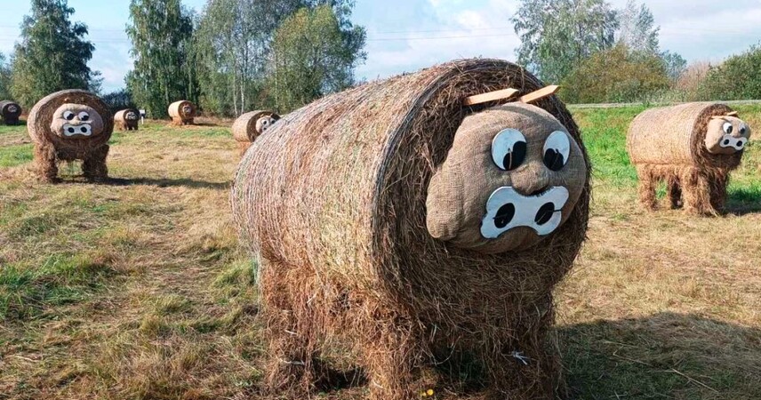 Композиции из сена и соломы: как Пинский район готовится к «Дожинкам-2025»