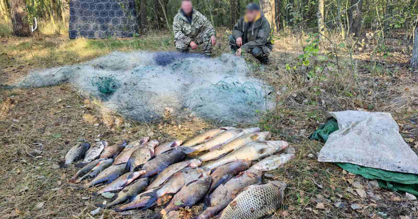 Улов 32 кг и 800 метров сетей: браконьеров задержали в Пинском районе