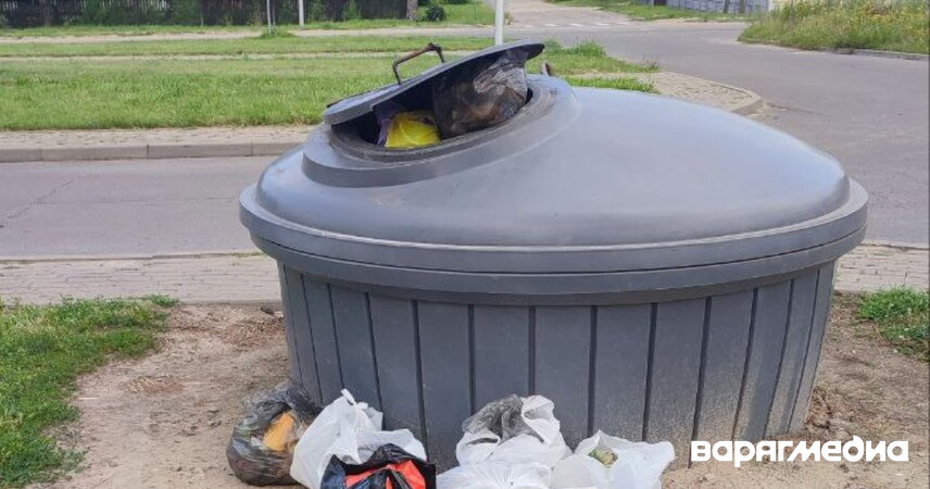 Можно ли выбрасывать мусор в контейнеры соседних домов? Что говорит закон