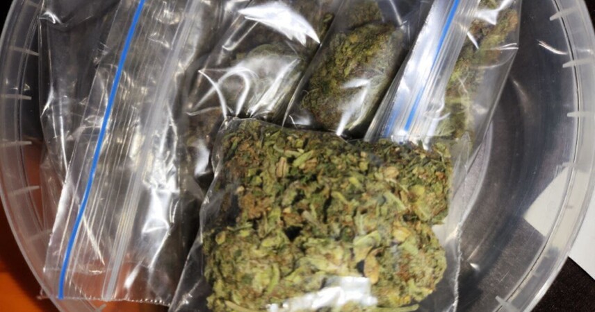 Попытка наладить наркоторговлю в Пинске провалилась: задержаны двое «бизнесменов»