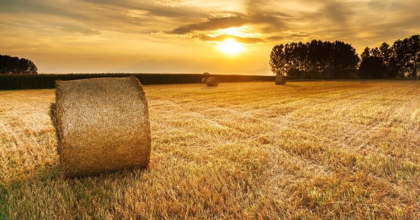 До +25°С и без осадков: какой будет погода в выходные 13-14 сентября в Беларуси