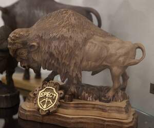 В день рождения области в Бресте открыли первый в стране Музей зубра