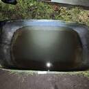 В Лунинецком районе мужчина утонул в поилке для птиц