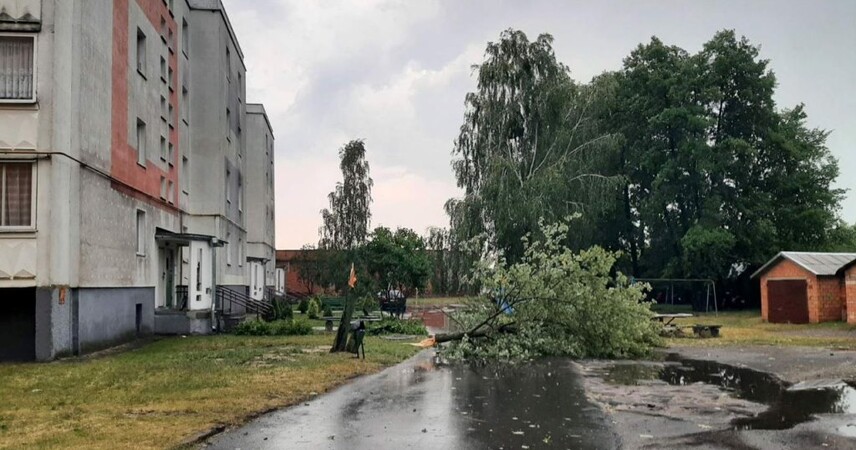 Мощный грозовой фронт прошелся по Брестской области: Пинский район среди наиболее пострадавших