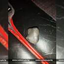 Брестская таможня обнаружила марихуану у пассажира рейсового автобуса из Польши