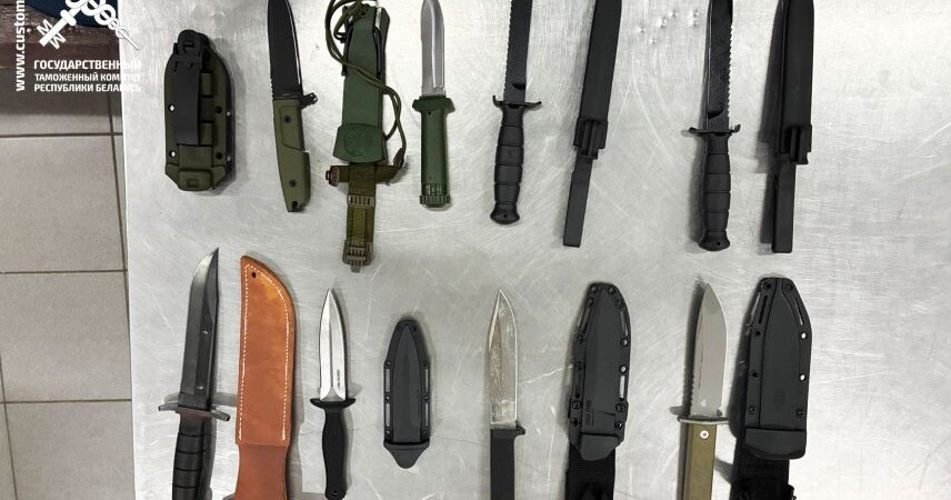 Гражданин Беларуси пытался незаконно ввезти на территорию страны 8 ножей