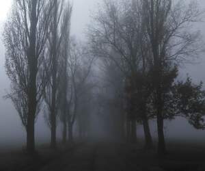 Туманы и осадки: оранжевый уровень объявили синоптики на 26 ноября