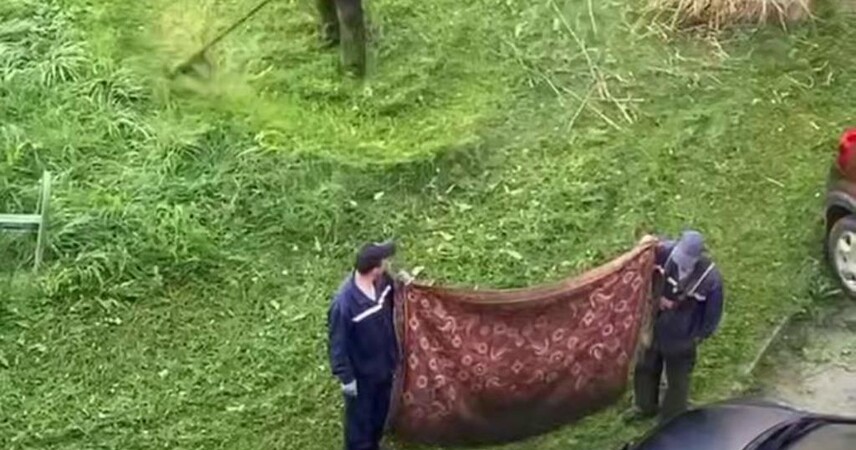 Коммунальщики покорили соцсети: во время покоса травы прикрыли машины покрывалом