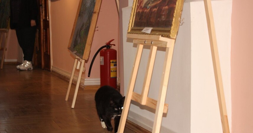 Кот Барсик стал сотрудником Музея Белорусского Полесья. Неофициальным