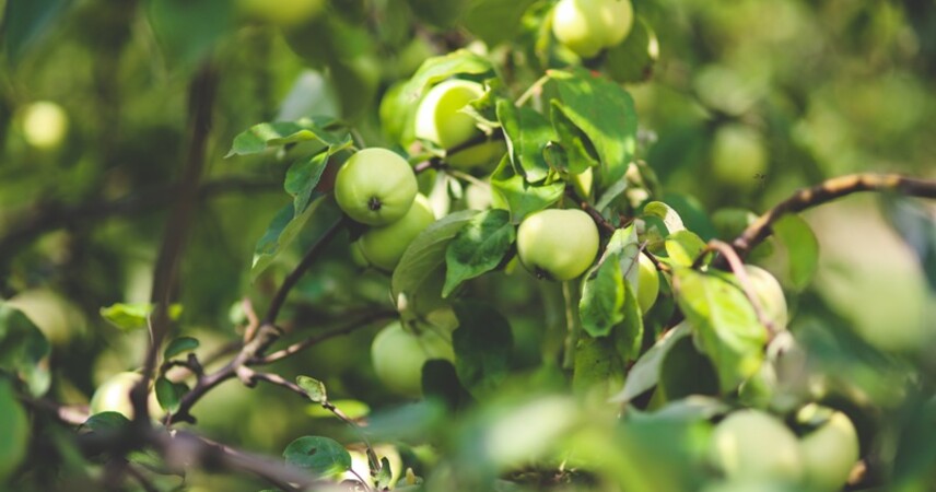 В Минтруда рассказали, сколько белорусов трудились на  временных работах в этом году