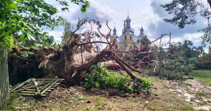 Последствия грозового фронта устраняли почти 80 аварийных бригад энергетиков в Брестской области