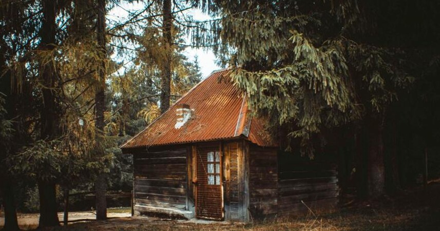 В Беларуси насчитывается порядка 35 тысяч пустующих домов