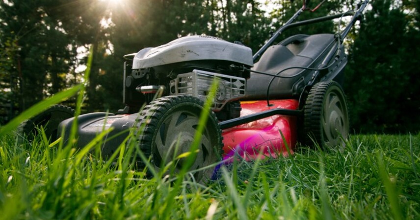 В Беларуси обновили правила содержания территорий: что изменилось?