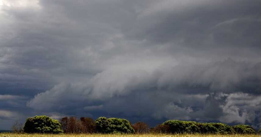 Грозы, ливни, ветер: на пятницу 11 июля объявлен оранжевый уровень опасности в Беларуси