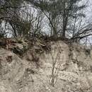 В прибрежной зоне реки Пина незаконно добывали песок: ущерб экологии – десятки тысяч рублей