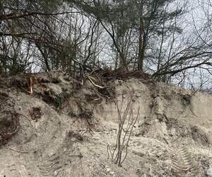 В прибрежной зоне реки Пина незаконно добывали песок: ущерб экологии – десятки тысяч рублей