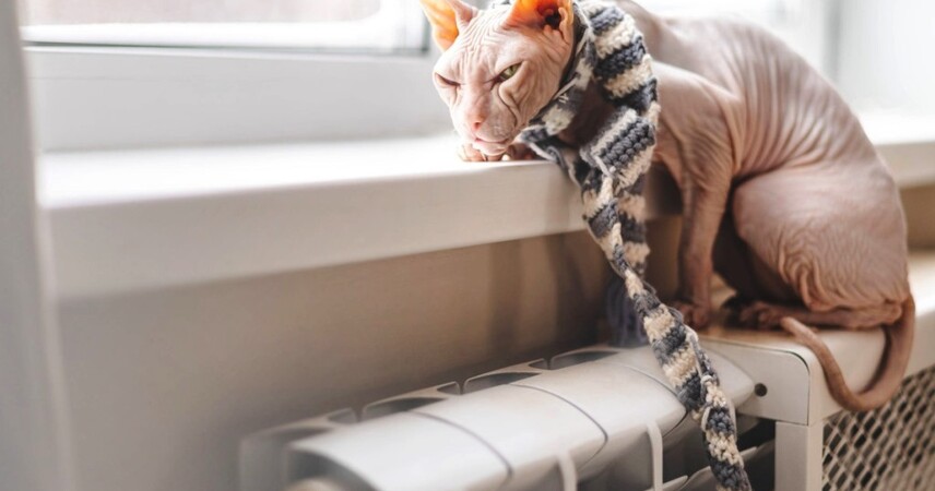 В Беларуси начинается отопительный сезон: в одной из областей включают отопление