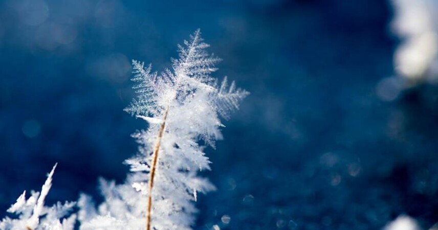 Синоптики предупреждают о ночных морозах в Беларуси