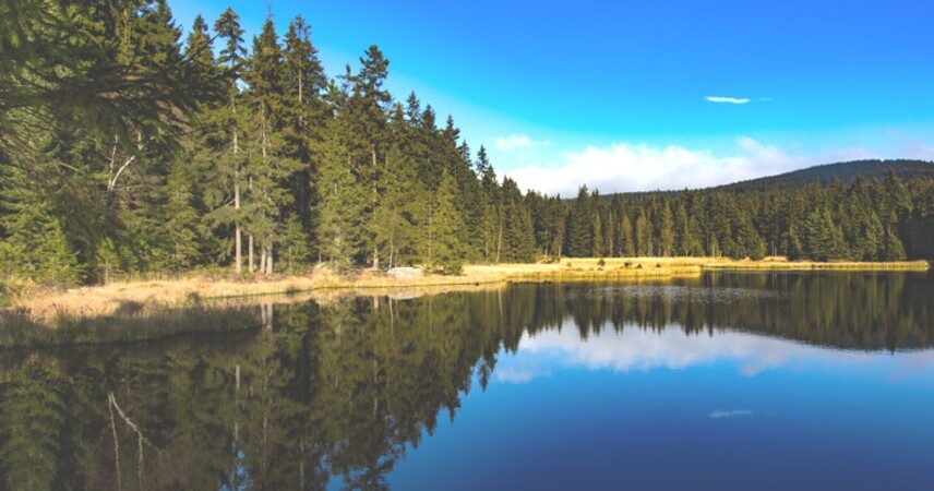 Радиационная обстановка в Беларуси улучшается