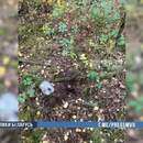 В Брестском районе задержана пинчанка с килограммом Альфа-PVP