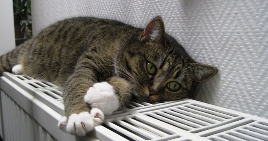 Названы сроки, когда белорусы перейдут на 100%-ю оплату коммуналки