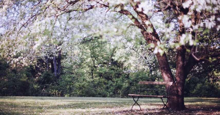 Длинные выходные ждут белорусов в апреле