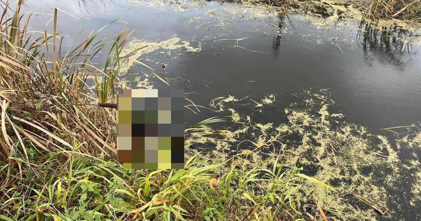 В Пинском районе в мелиоративном канале обнаружено тело женщины