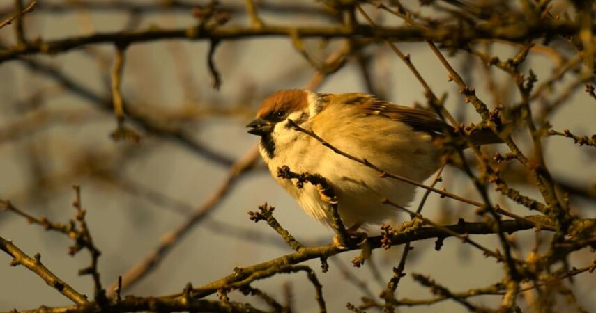 До +14°С, осадки: какую погоду ждать в выходные 22-23 марта в Беларуси
