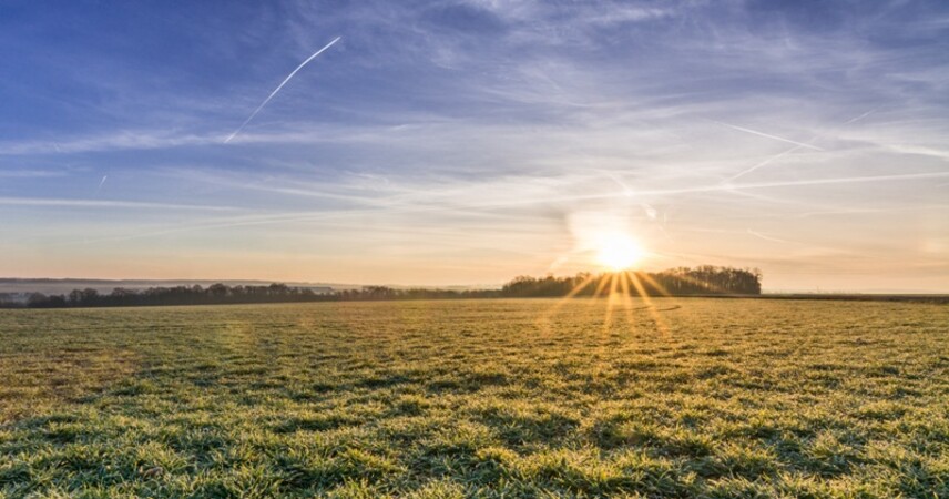 День весеннего равноденствия в 2025 году: когда наступит?