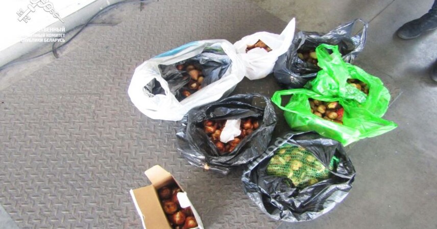 Партию луковиц тюльпанов пытался тайно переместить через таможню водитель грузовика