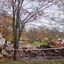 В Пинске установят платформу для гнездования аистов на площади Ленина