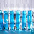 В Брестской области генетическая экспертиза опровергла отцовство мужчины, воспитывавшего четверых детей