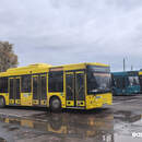 Как в Пинске будут ходить городские автобусы на Новый год и Рождество