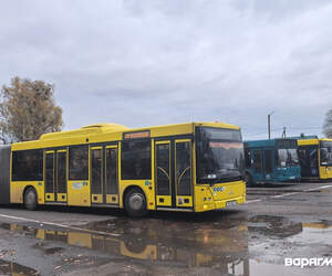 В Пинске запускают новый автобусный маршрут №23А