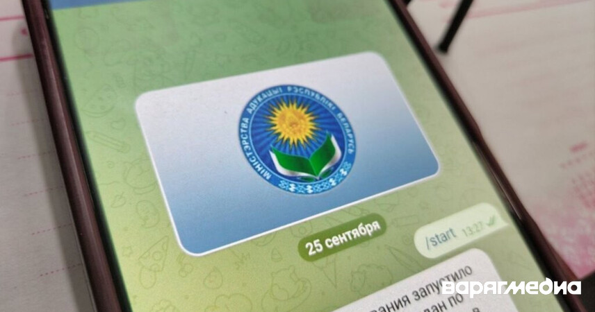 В Беларуси запущен чат-бот для контроля температуры в образовательных учреждениях