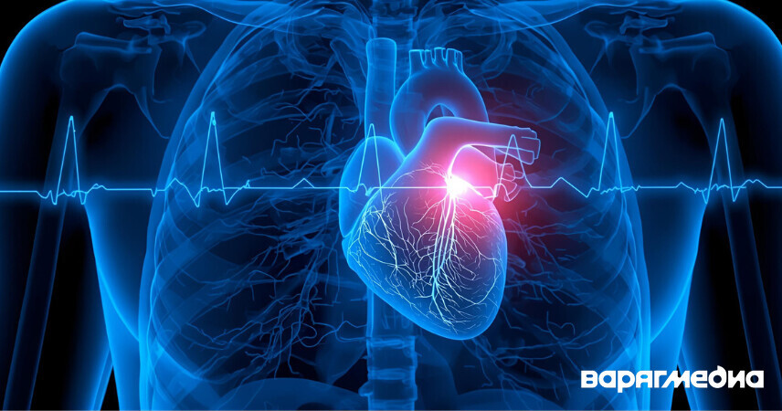 Факторы риска - на контроле: как сохранить сердце и сосуды здоровыми?