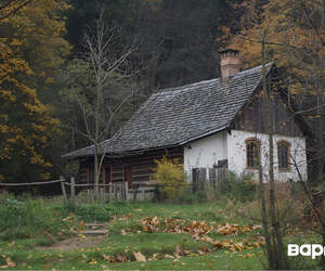 Сельхозорганизации смогут продавать пустующие дома с большими скидками