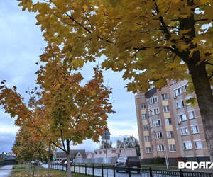 Геомагнитная обстановка стабилизировалась: на ближайшие дни ожидается затишье