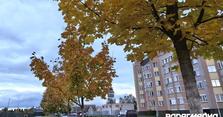 Геомагнитная обстановка стабилизировалась: на ближайшие дни ожидается затишье