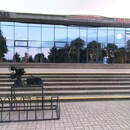 «Зверополис 2», «Шальная императрица», «Мышиный переполох», «Семьянин» - кинопремьеры недели с 4 декабря