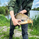 Новые правила рыбалки хотят ввести в Беларуси. Что изменится