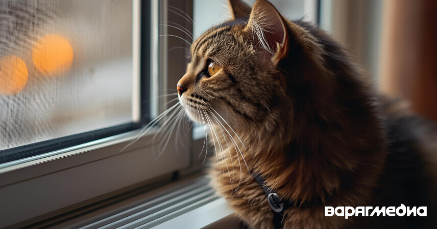 Тепло и горячая вода будут временно отсутствовать по некоторым адресам в Пинске 3-4 ноября