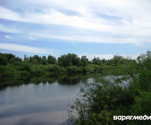 В Брестской области расширен перечень водоемов для подводной охоты и лова на дорожку - места в Пинском районе
