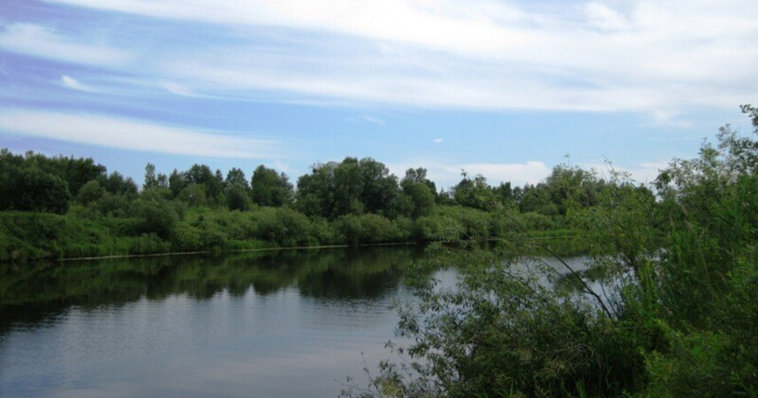 Похитил рыбацкие кресла, термоконтейнер и продукты: в Пинске за кражу задержан местный житель