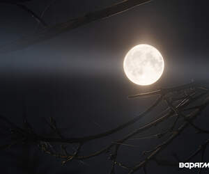 Бобровая суперлуна взошла над Пинском